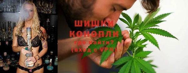 прущие грибы Армянск