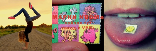 прущие грибы Армянск