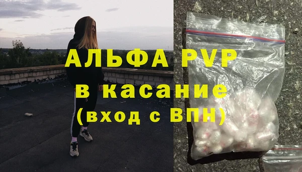 прущие грибы Армянск