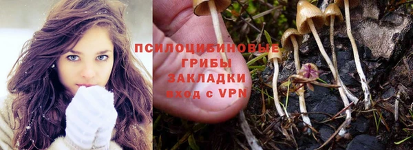 трава Арсеньев