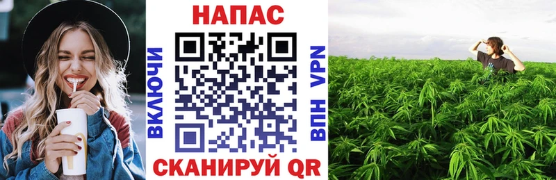 Конопля OG Kush  Поворино 